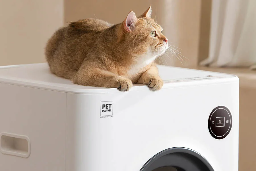 electric cat litter